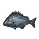 貝利安魚