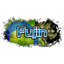 鐵拳風神 : Fujin段位