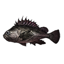 深海石斑魚