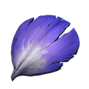 撕裂的花瓣