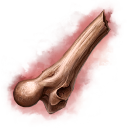 死亡骷髏士兵的骨頭碎片