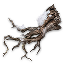 積雪的樹枝