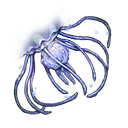 藍色水母觸手